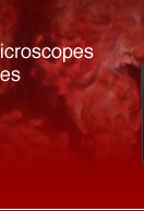 Welcome to Bargain Microscopes